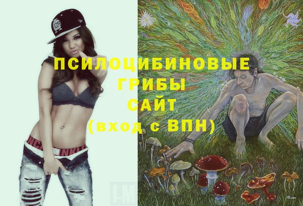 spice Заводоуковск