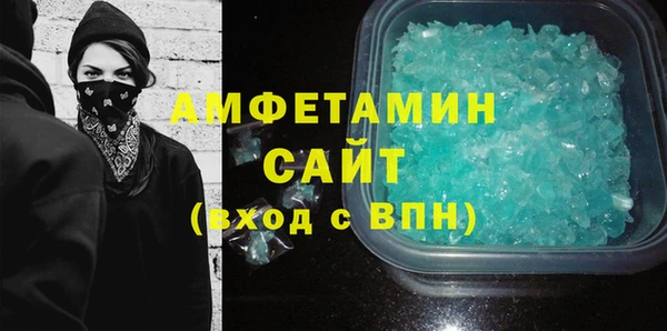 прущие грибы Ельня